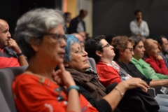 público adulto