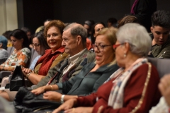 público adulto