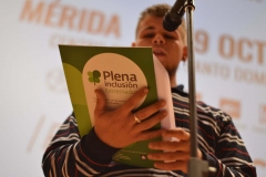 usuario plena inclusión